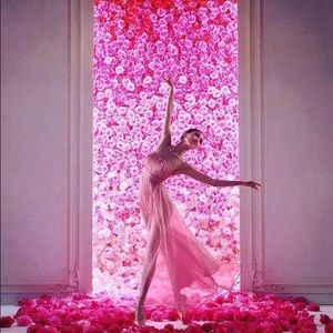 Meet your Posher, Elma